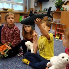 Mořští živočichové - Sovičky