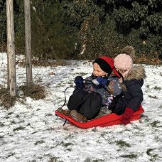 Z kopce dolů - Želvičky a Myšičky