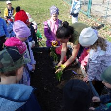 Jak jsme probouzeli zahrádku