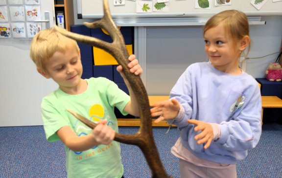 Sovičky - Za humny je les!