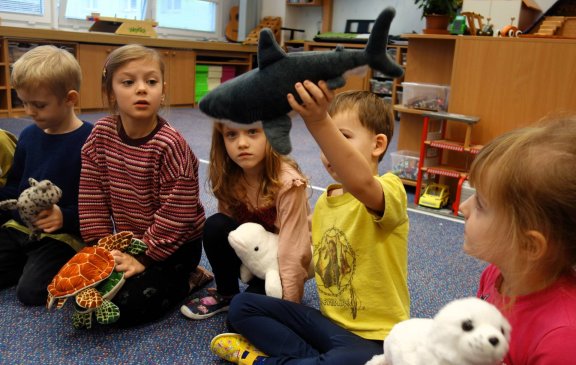 Mořští živočichové - Sovičky