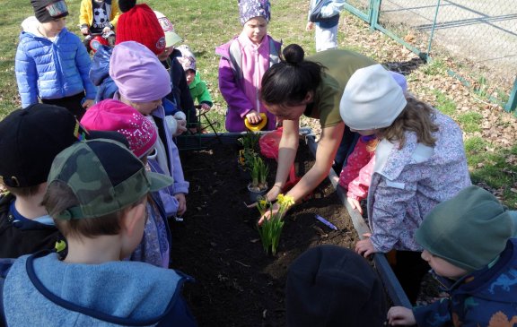 Jak jsme probouzeli zahrádku