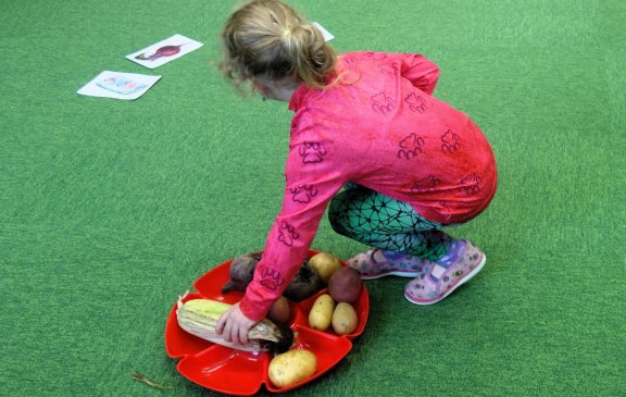 Co vyrostlo na poli - Myšičky