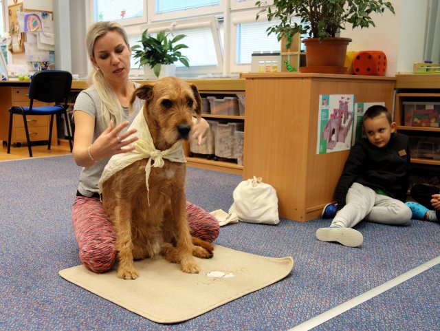 Psí návštěva ve školce