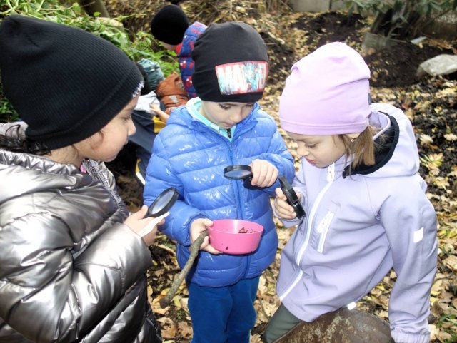 Sovičky v Botanické zahradě