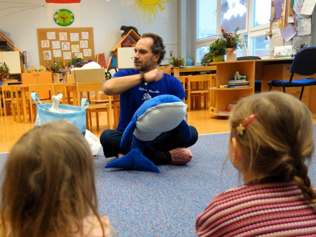 Mořští živočichové - Sovičky