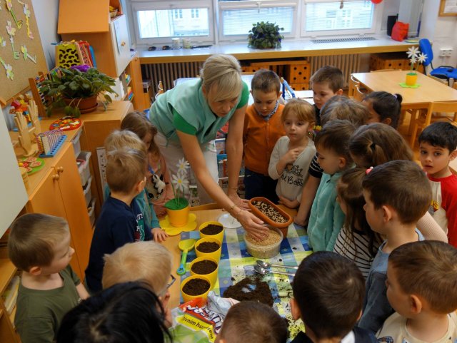 Jak jsme probouzeli zahrádku