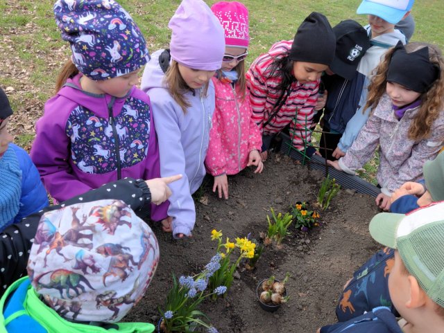 Když jaro klíčí v dětských ručkách - Sovičky