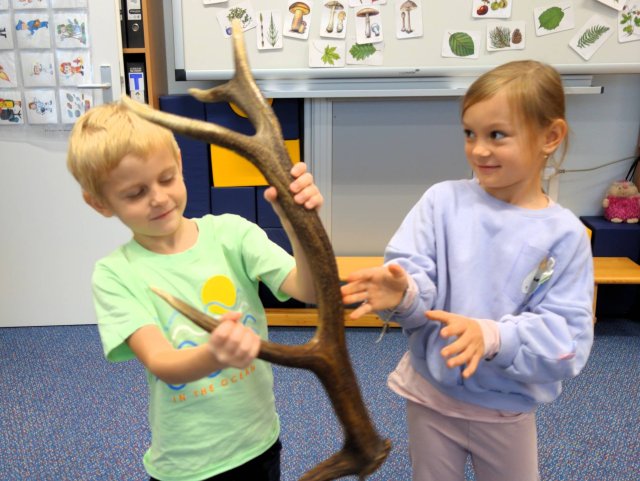 Sovičky - Za humny je les!