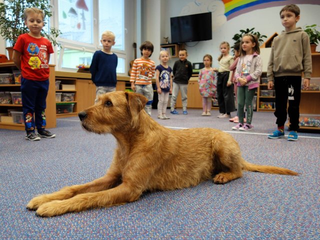 Psí návštěva ve školce