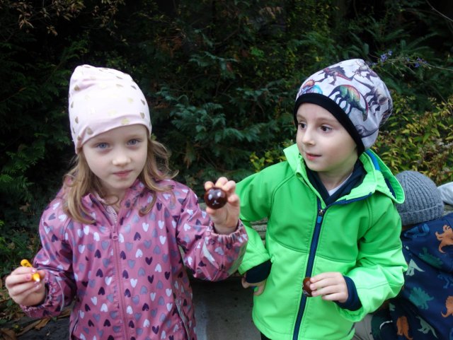 Sovičky v Botanické zahradě