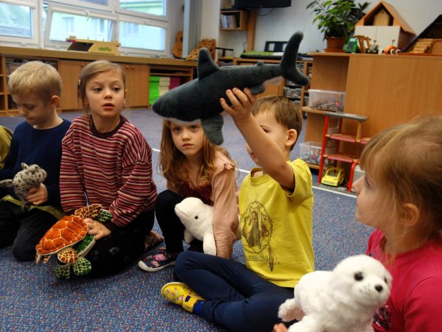 Mořští živočichové - Sovičky