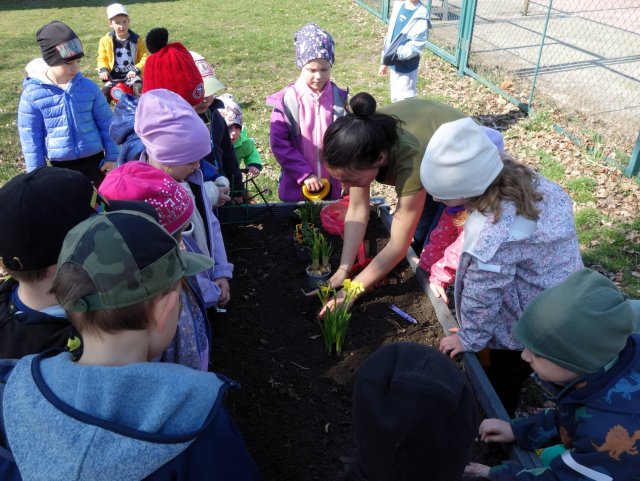 Jak jsme probouzeli zahrádku